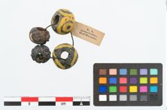 Foto von Glasaugenperle (NHMW-PRAE-026026)